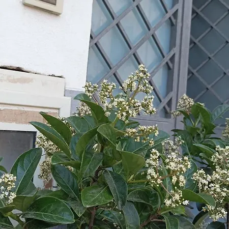 La Casetta Di Marta Ai Quattro Canti Di Giusi Palermo